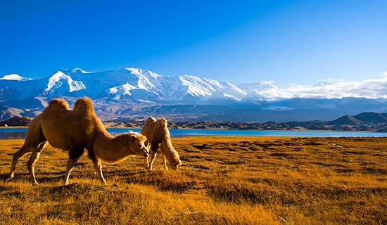 Self drive de Konjerab vers Irkeshtam via Xinjiang